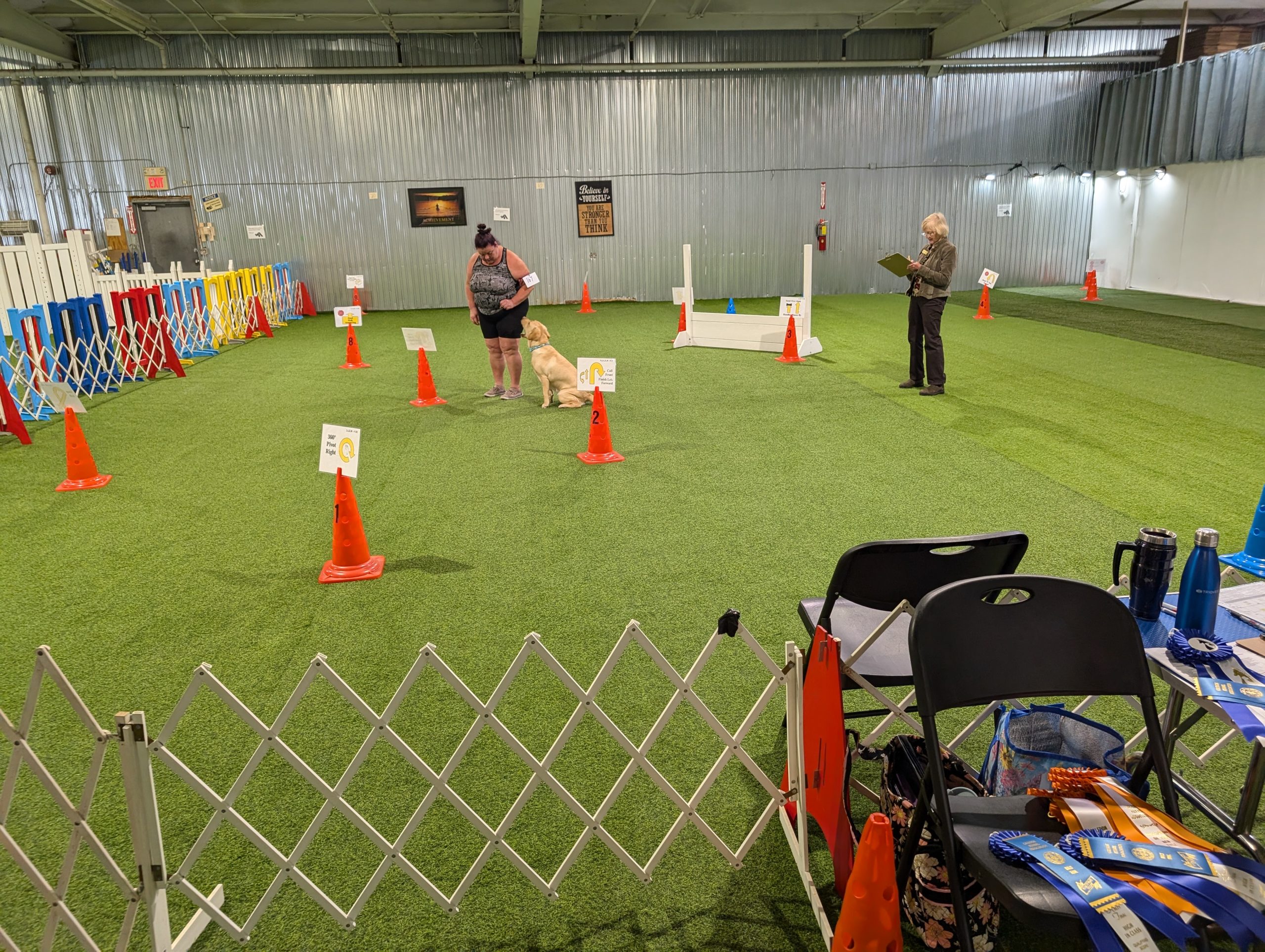 Obedience & Rally 2024-01
