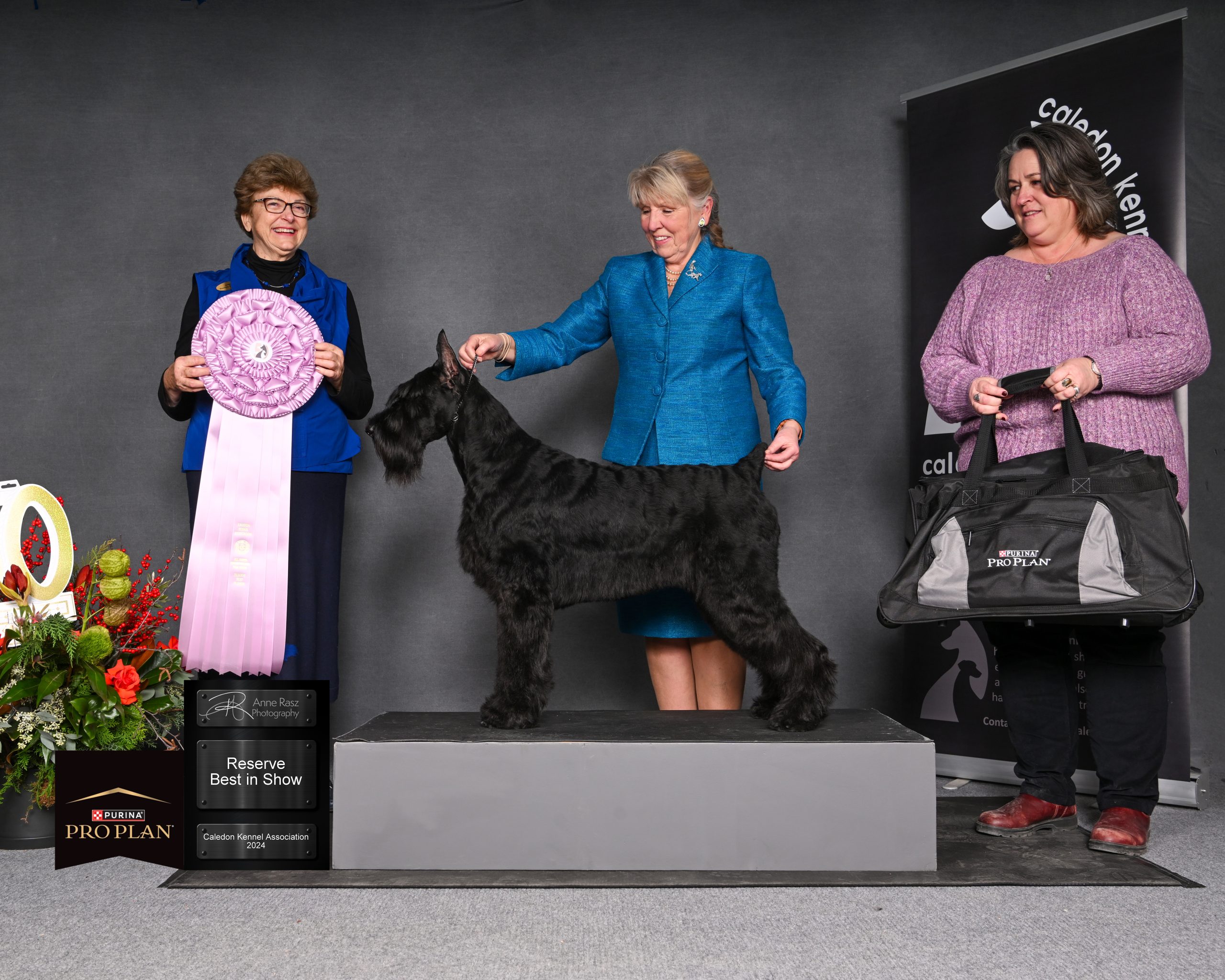 RESERVE BEST IN SHOW 2024-11-29 Judge Rosemary Sherman Schnauzer (Giant) GCHS Aerdenhoute's Make it True