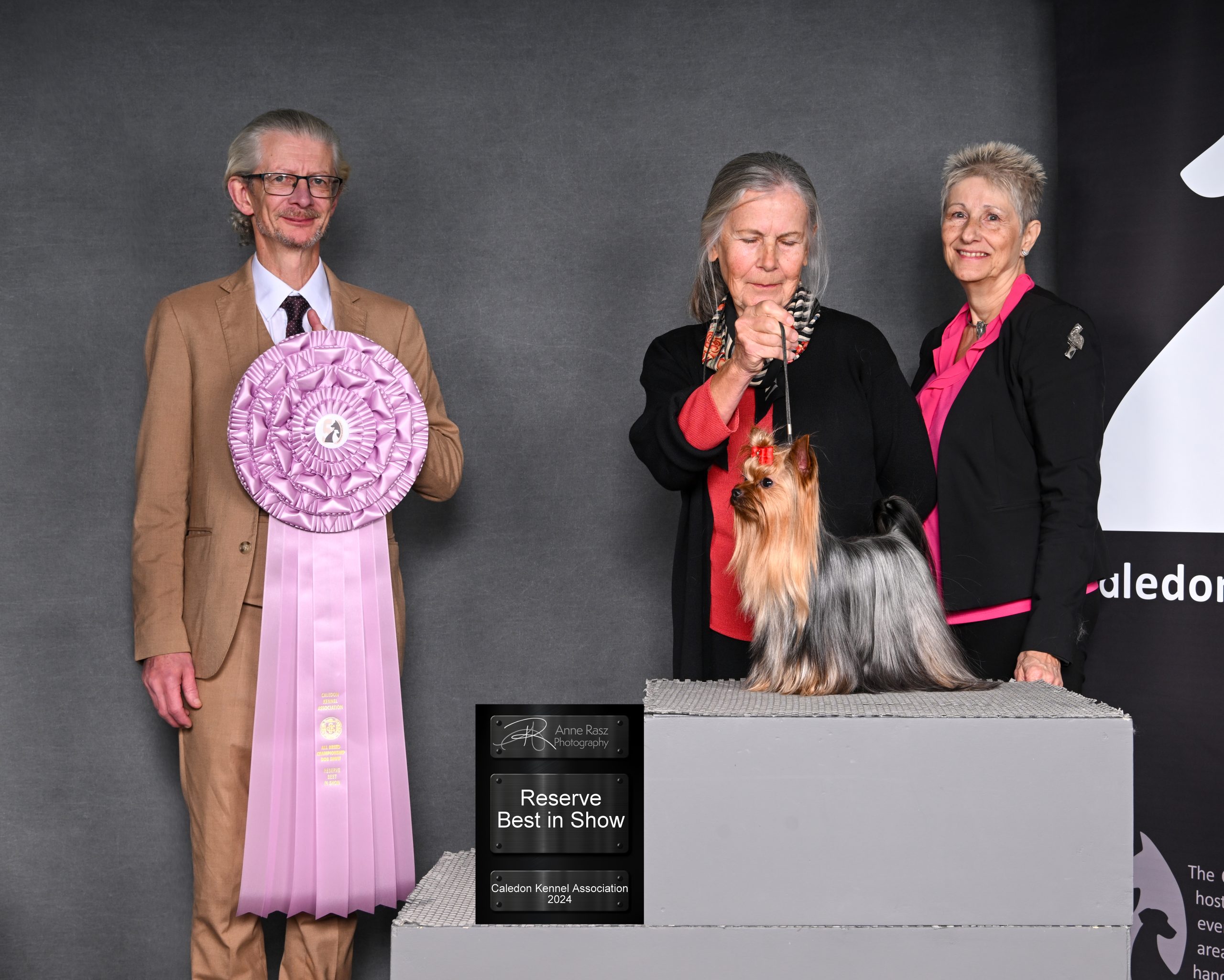 RESERVE BEST IN SHOW 2024-11-30 Judge Colm Beattie Yorkshire Terrier GCH Justatitch Sophie