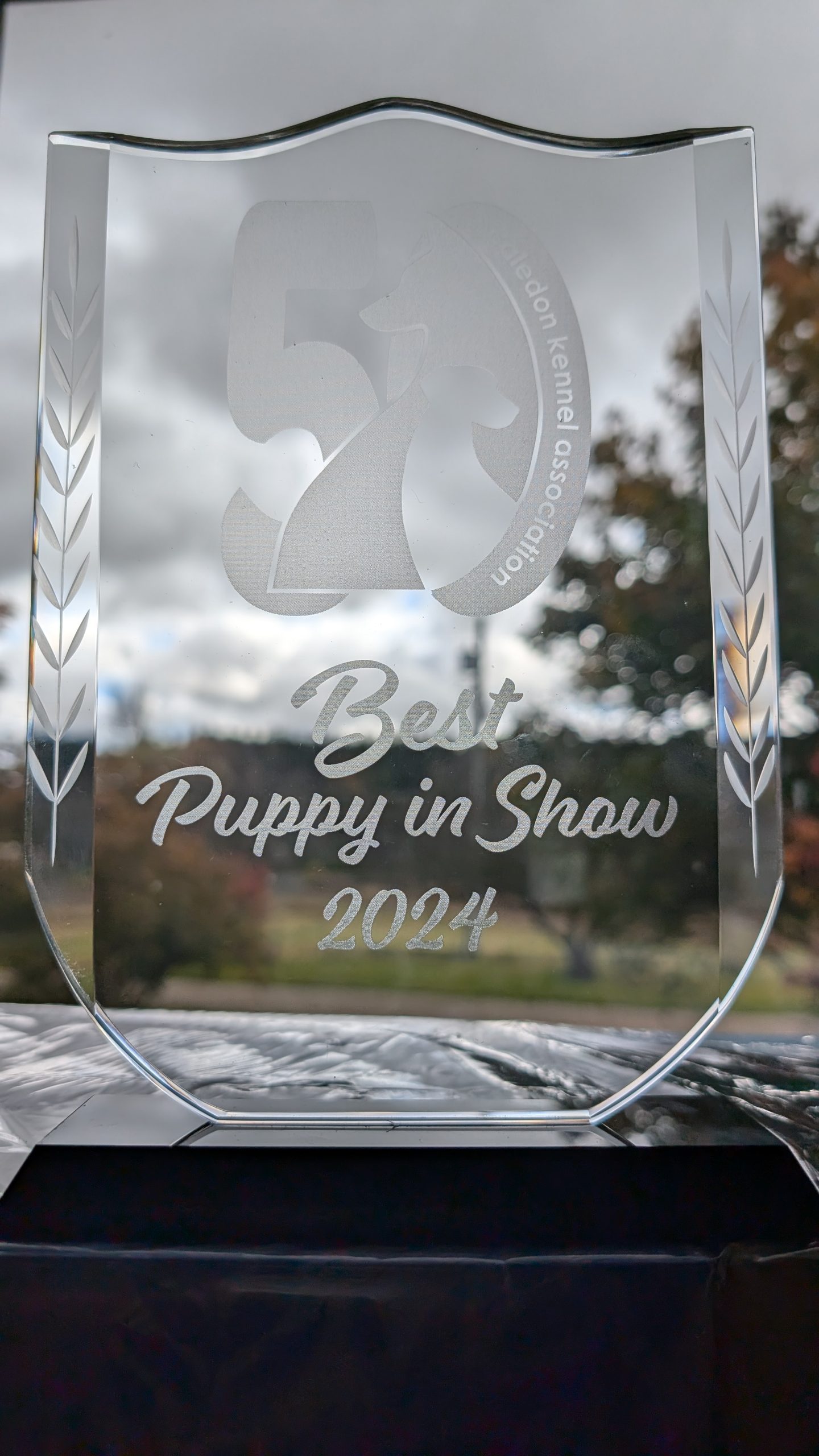 Best Puppy in Show Trophy 2024