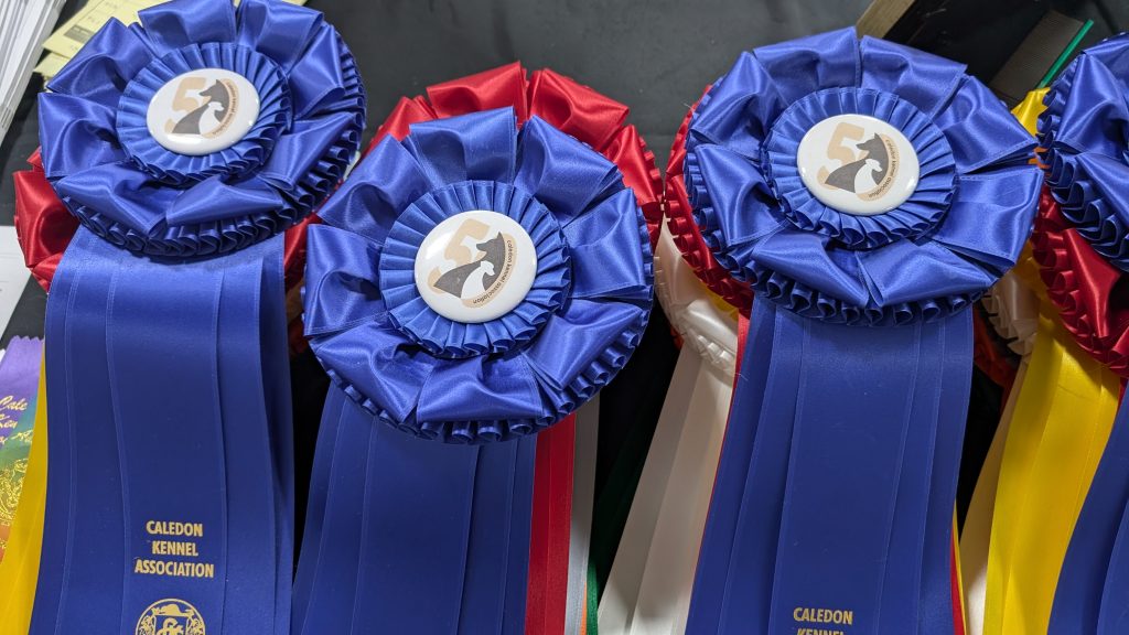Group Winners Ribbons 2024